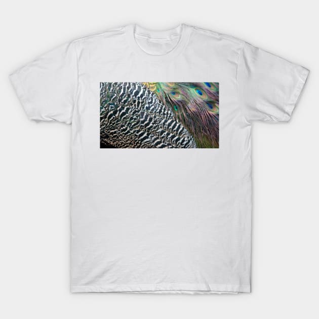 Peacock Feathers T-Shirt by Cynthia48